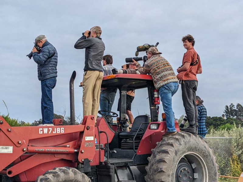 tractor